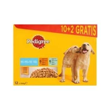 Pedigree dog Junior kuracie & jahňacie & hydinové & hovädzie s ryžou v želé 12 x 100 g