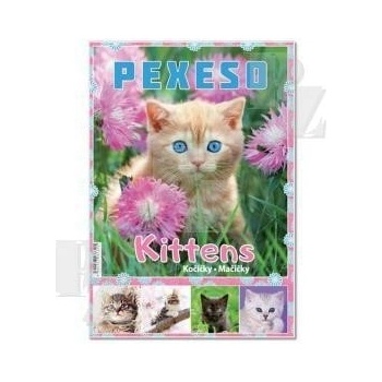 Stil Pexeso: Kočičky