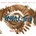 Thick - Tribal Tech CD