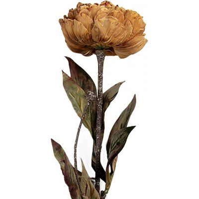 Žluto-hnědá umělá dekorace sušená květina pivoňka - 10*10*65 cm - Clayre & Eef