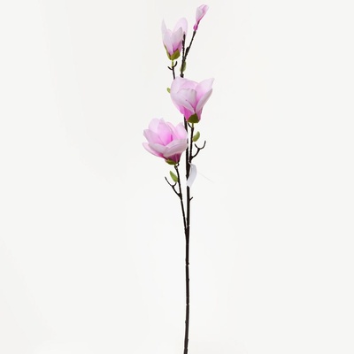 KS MAGNÓLIA BL.RUŽ. 82cm