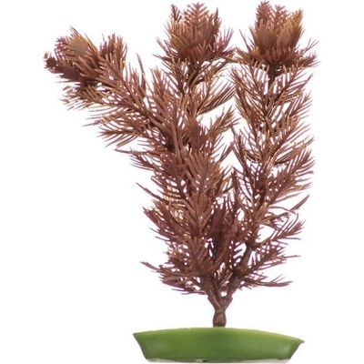 Hagen rostlina Foxtail 20 cm – Hledejceny.cz