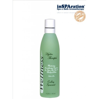 Insparation Wellness Spearmint 245ml – Zboží Dáma