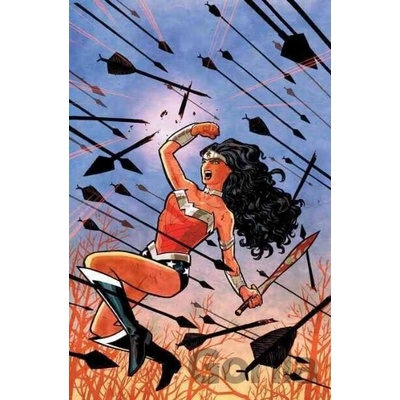 Absolute Wonder Woman by Brian Azzarello and Cliff Chiang 1