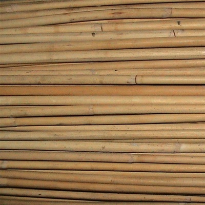 rákos SEGA pr.6-8mm AB 5206006 – Hledejceny.cz