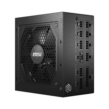 MSI MAG A750GL PCIE5 750W 306-7ZP8B11-CE0