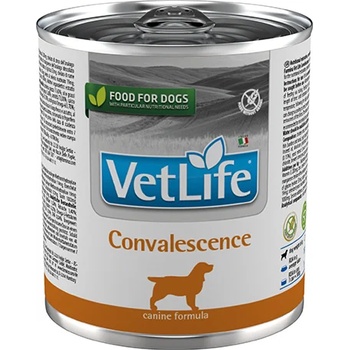 Vet Life Convalescence за кучета за хранително възстановяване, реконвалесценция 300gr