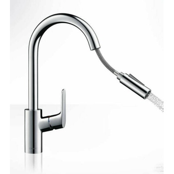 Image 1 of Hansgrohe Focus 31815000