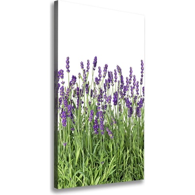 Vertikálny foto obraz canvas Pole levanduľe 50x100 cm