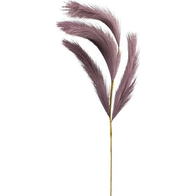 Gasper Pampová tráva 80cm fialová