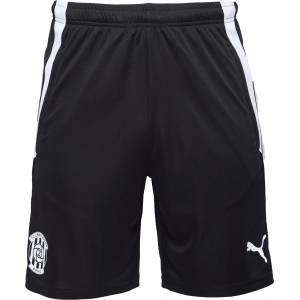 PUMA Team liga training shorts l - sportisimo - 78,21 лв