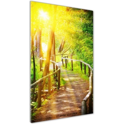 Vertikálny fotoobraz na skle Chodník v lese 50x100 cm