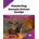 Mastering Domain-Driven Design