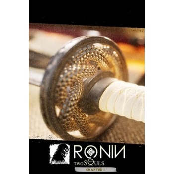 Ronin: Two Souls