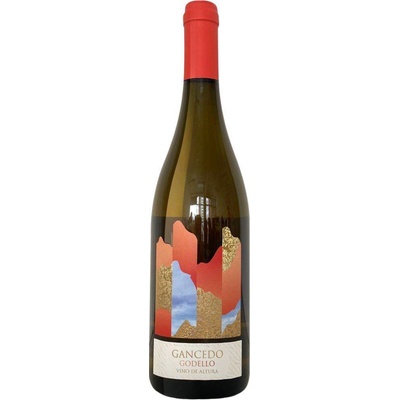 Godelia Bodegas y Viñedos Gancedo Godello suché bílé 2018 13,5% 0,75 l (holá láhev)