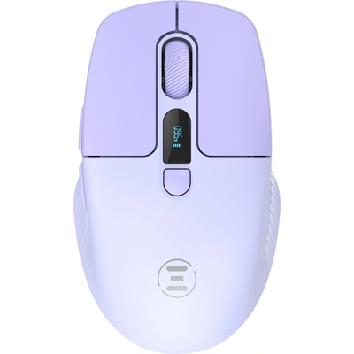 Eternico Wireless Mouse MSB270 AET-MSB270P
