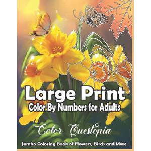 Large Print Color By Numbers for Adults (ISBN: 9798592014598)