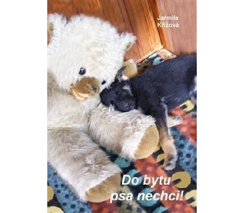 Do bytu psa nechci!