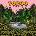 YokoO - Rise LP