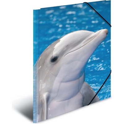 HERMA Deska s gumičkou A3 Delphins