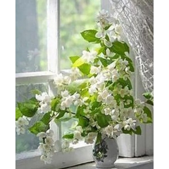 Image 1 of Ваза с цветя до прозореца 15/15 см