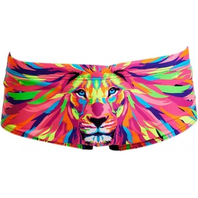 Funky Trunks Pride Power Sidewinder Trunks Boys