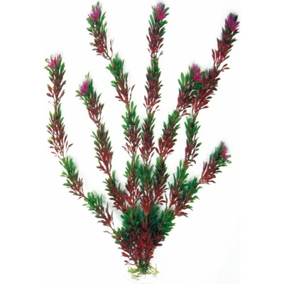 Amtra Bicolour 18 cm