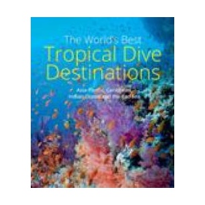 World's Best Tropical Dive Destinations | Lawson Wood (2023)
