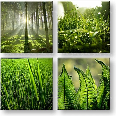 Obraz na stenu Sunrise of Nature - 40x40 cm