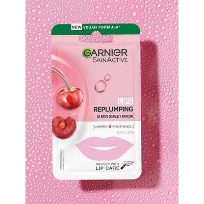 Garnier Skin Naturals Lips Replump Mask Грижа за устните 5g