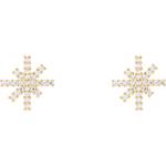 Daniel wellington dw00401611 (dw00401611)