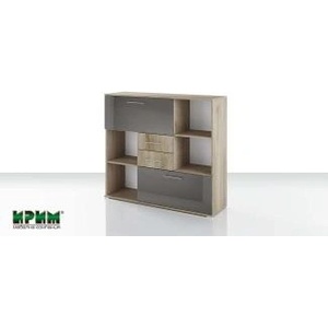 IRIM Модул 51