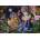 Grafika Art Puzzle - Puzzle Josephine Wall: Bovver Boot Ballet - 1 000 piese