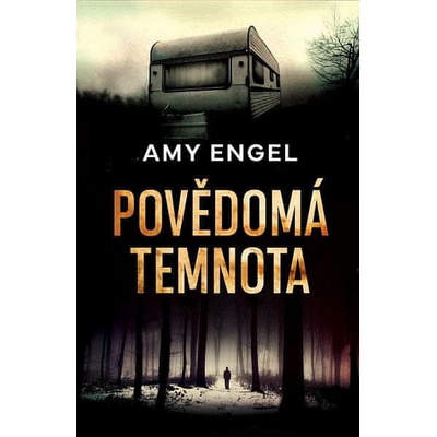 Povědomá temnota - Amy Engel