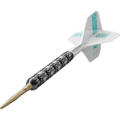steel Target Rob Cross 95K 25 g SP 95% wolfram