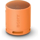 Sony SRS-XB100D
