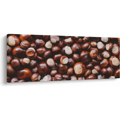 Obraz - Zrelé gaštany, jednodielne 100x40 cm