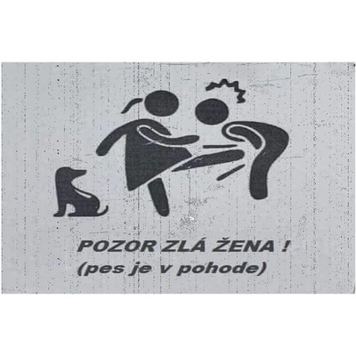Pozor zlá žena! - ceduľa 30cm x 20cm Plechová tabuľa