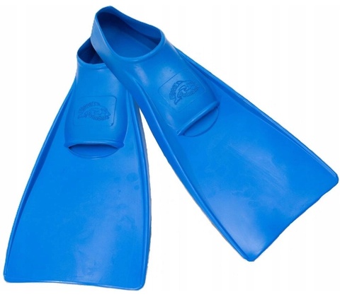 Flipper Swimsafe