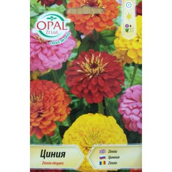 Image 1 of Opal Zi Циния микс Zinnia elegans