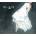Fallgrapp - Rieka