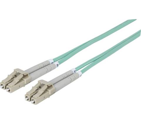 Intellinet 750080