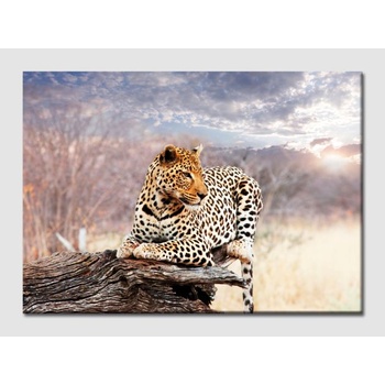 Леопард - 50 см х 35 см (40019111)