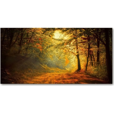 Fotoobraz na skle jesenné les 100x50 cm
