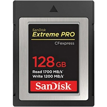 SanDisk 128GB SDCFE-128G-GN4NN