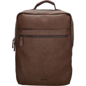 Beagles Toledo 21673 Brown