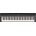 Yamaha P-121 Portable