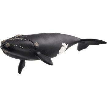 Schleich North Atlantic Right Whale 14878