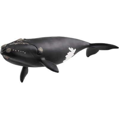 Schleich North Atlantic Right Whale 14878