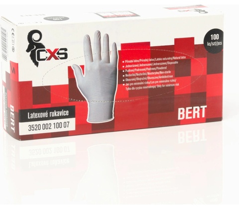 CXS BERT